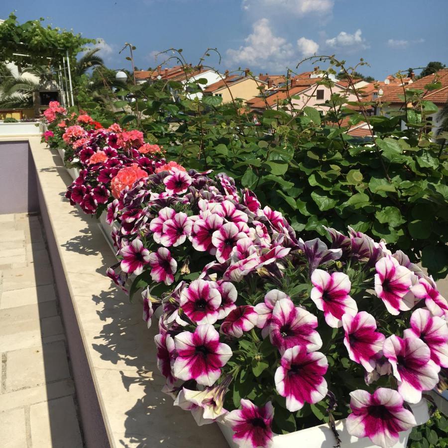 Villa Millefiori - Apartments Mali Lošinj Dış mekan fotoğraf